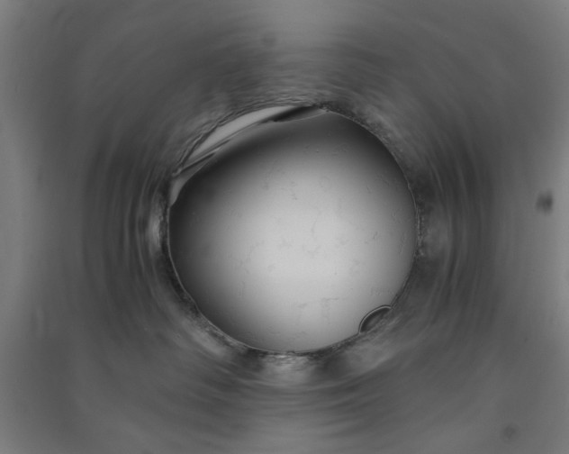 X0000091080334200708201440