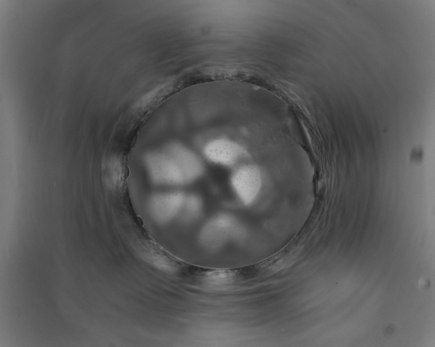 X0000091080335200708201440