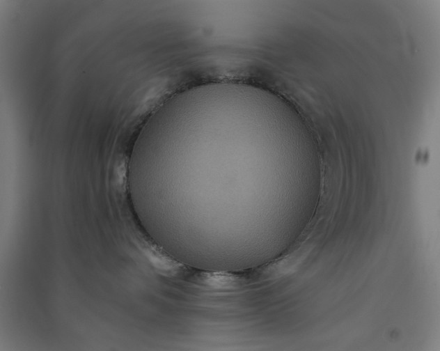 X0000091080336200708201440