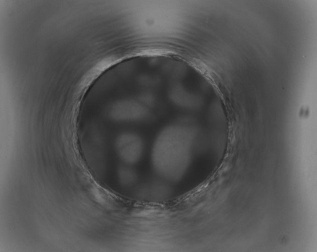 X0000091080337200708201439