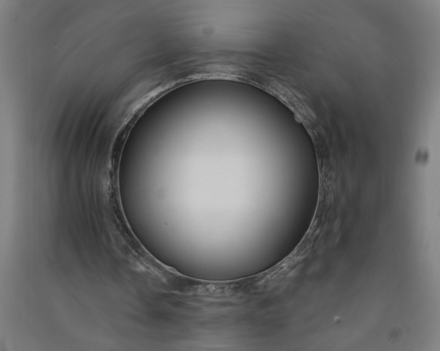 X0000091080338200708201439