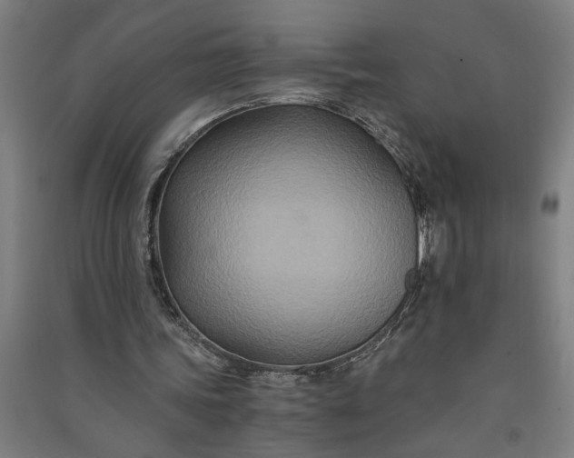 X0000091080339200708201439