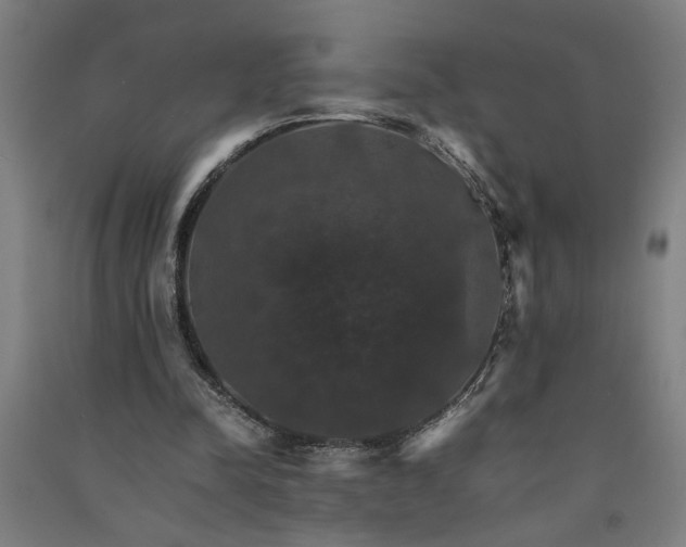 X0000091080342200708201439