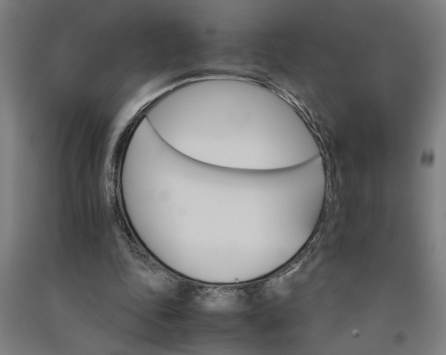 X0000091080343200708201439