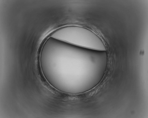 X0000091080344200708201439