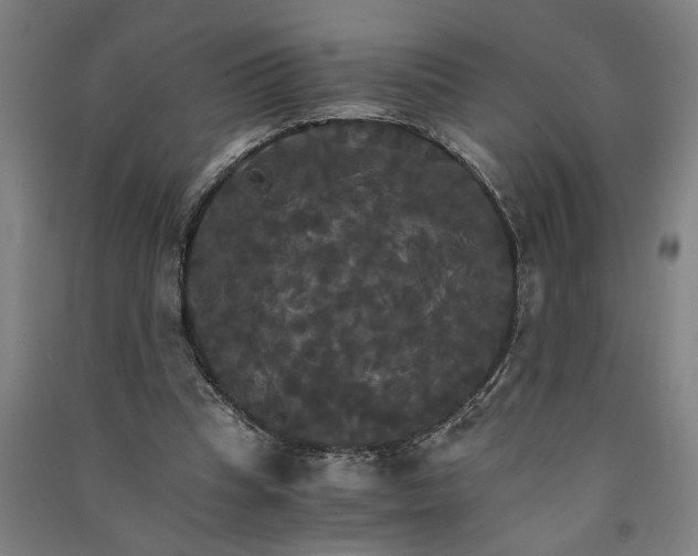 X0000091080345200708201439