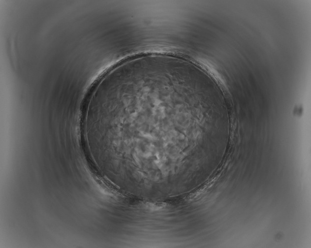 X0000091080346200708201439