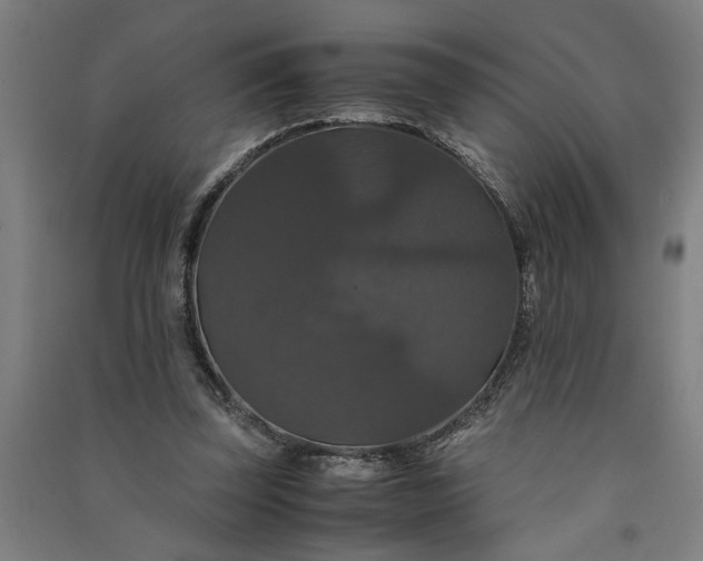 X0000091080347200708201439