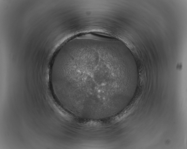 X0000091080350200708201439