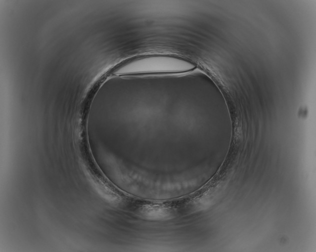 X0000091080351200708201439