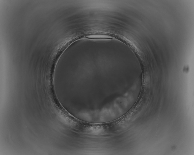 X0000091080353200708201439