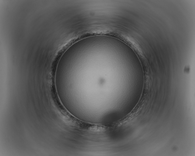 X0000091080354200708201439