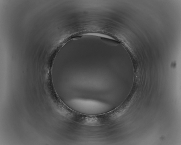 X0000091080355200708201439