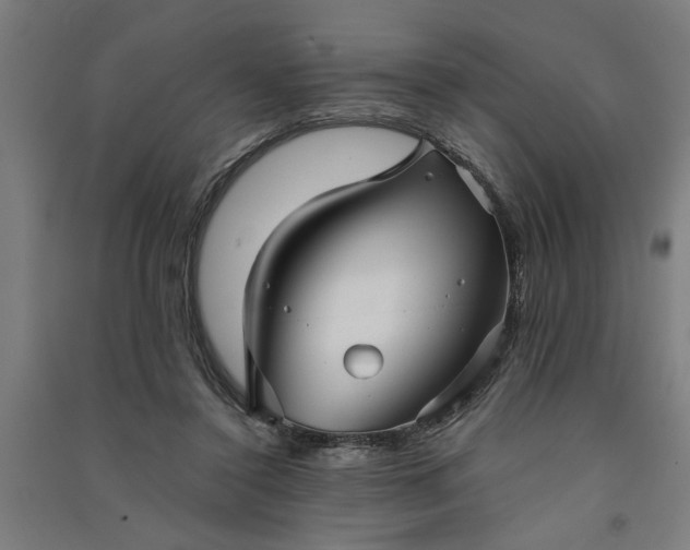 X0000091080356200708201439