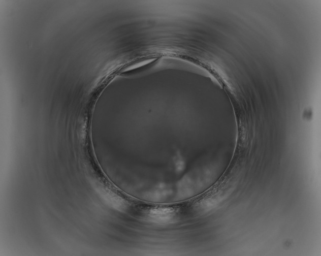 X0000091080357200708201439