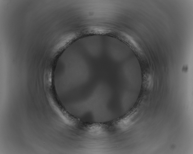 X0000091080358200708201439