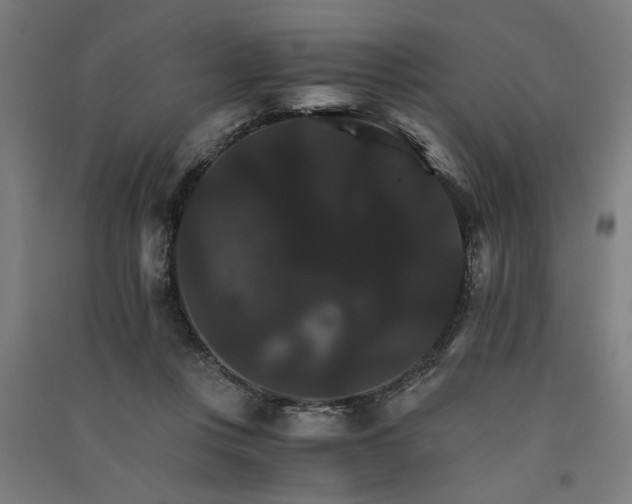 X0000091080359200708201439