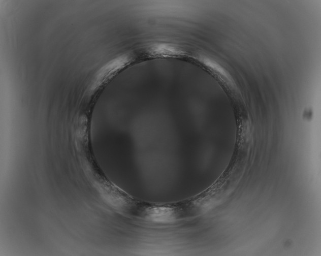 X0000091080361200708201439