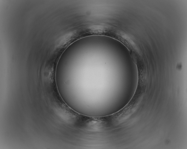 X0000091080364200708201439