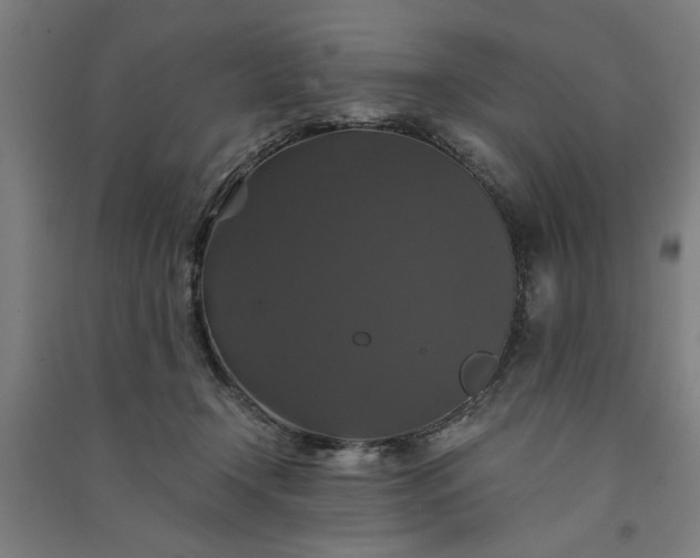 X0000091080366200708201439