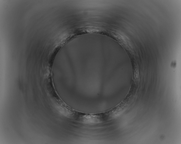 X0000091080367200708201439