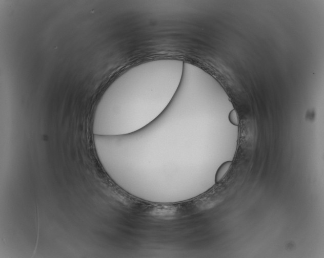 X0000091080369200708201439