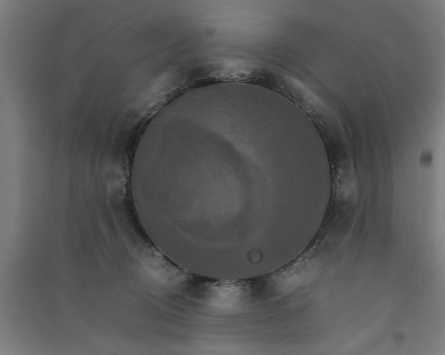 X0000091080370200708201439