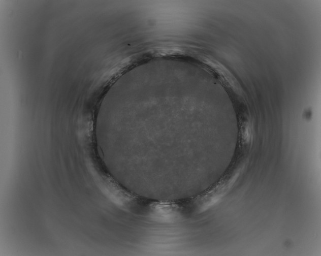 X0000091080372200708201439