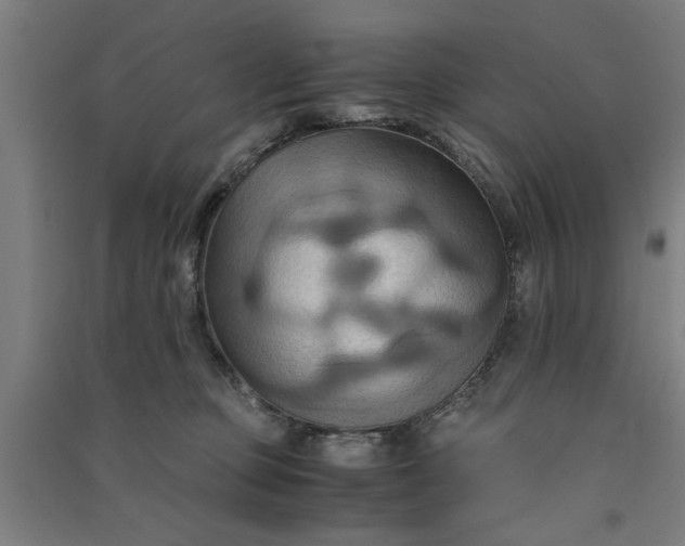 X0000091080373200708201439