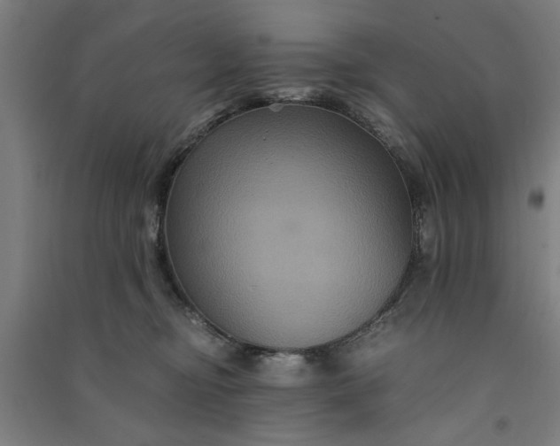 X0000091080374200708201439