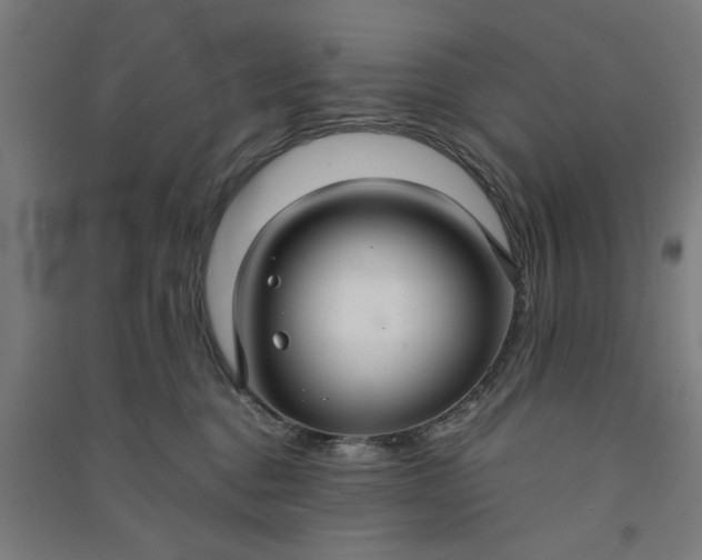 X0000091080376200708201439