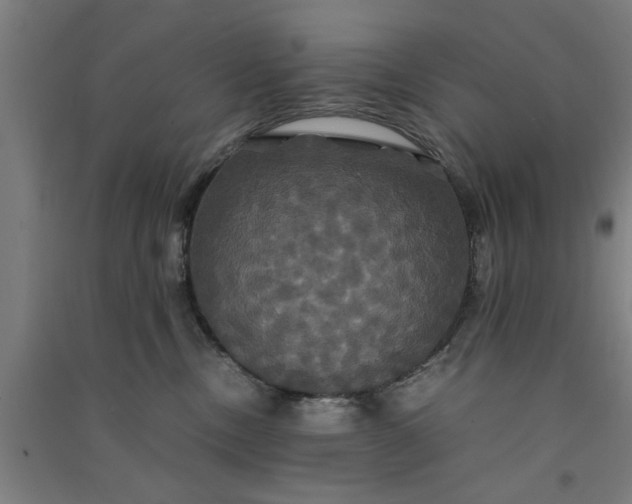 X0000091080378200708201439