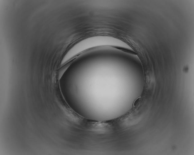 X0000091080379200708201439