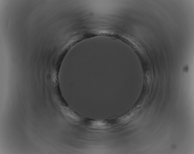 X0000091080380200708201439