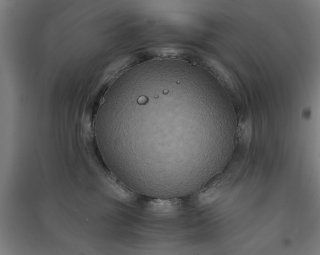 X0000091080381200708201440