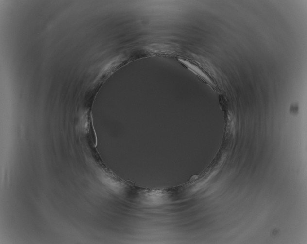 X0000091080383200708201440