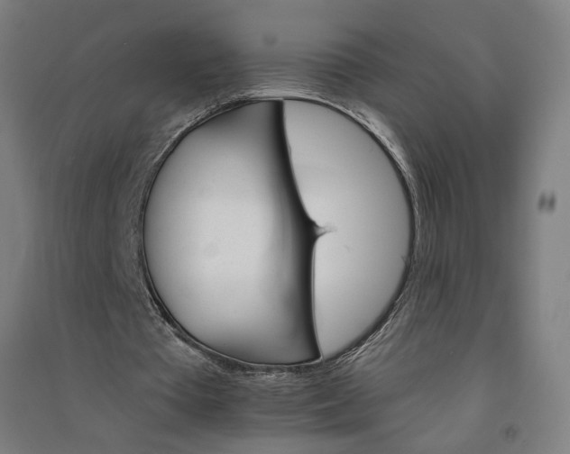 X0000091080385200708201439