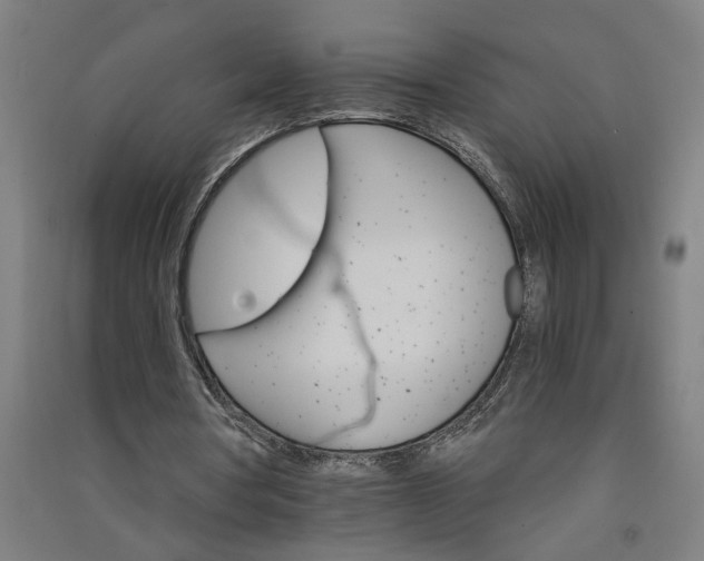 X0000091080386200708201439