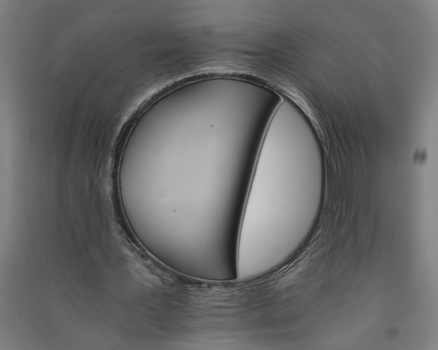 X0000091080387200708201439