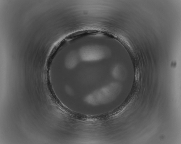 X0000091080388200708201439