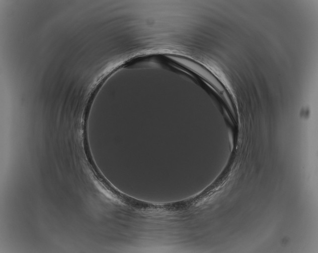 X0000091080389200708201439