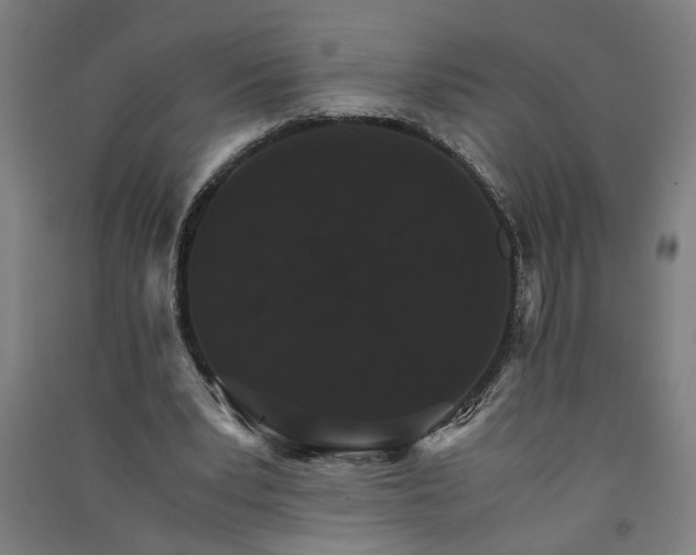 X0000091080391200708201439