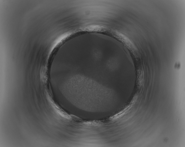 X0000091080392200708201439