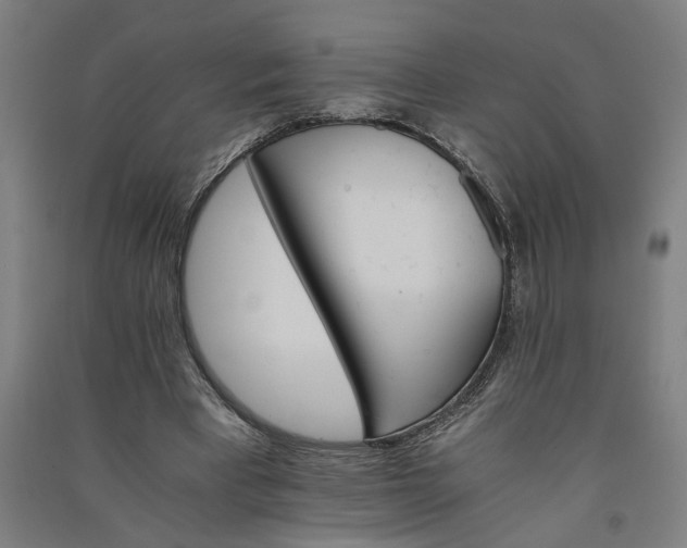 X0000091080393200708201439