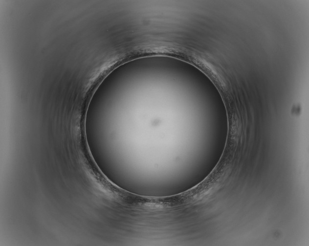 X0000091080394200708201439