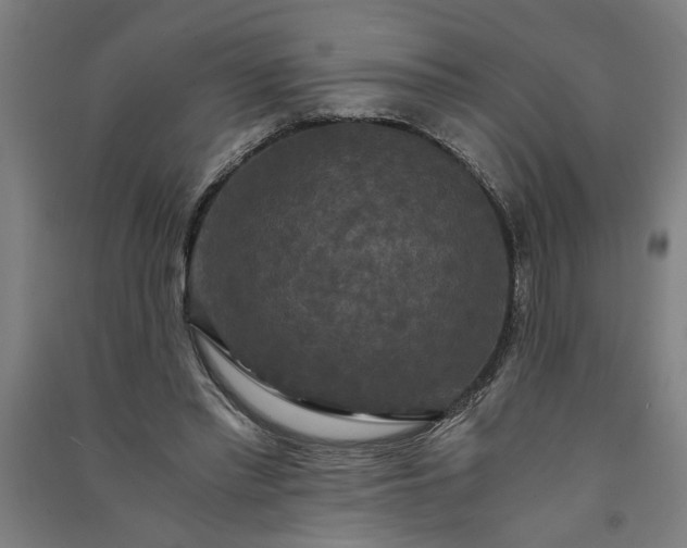 X0000091080397200708201439