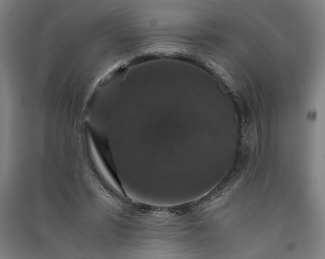 X0000091080399200708201439