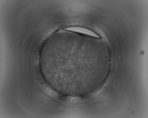 X0000091080401200708201439