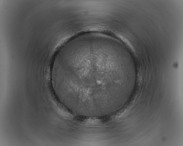 X0000091080403200708201439