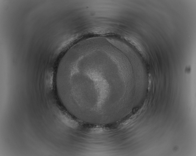 X0000091080404200708201439